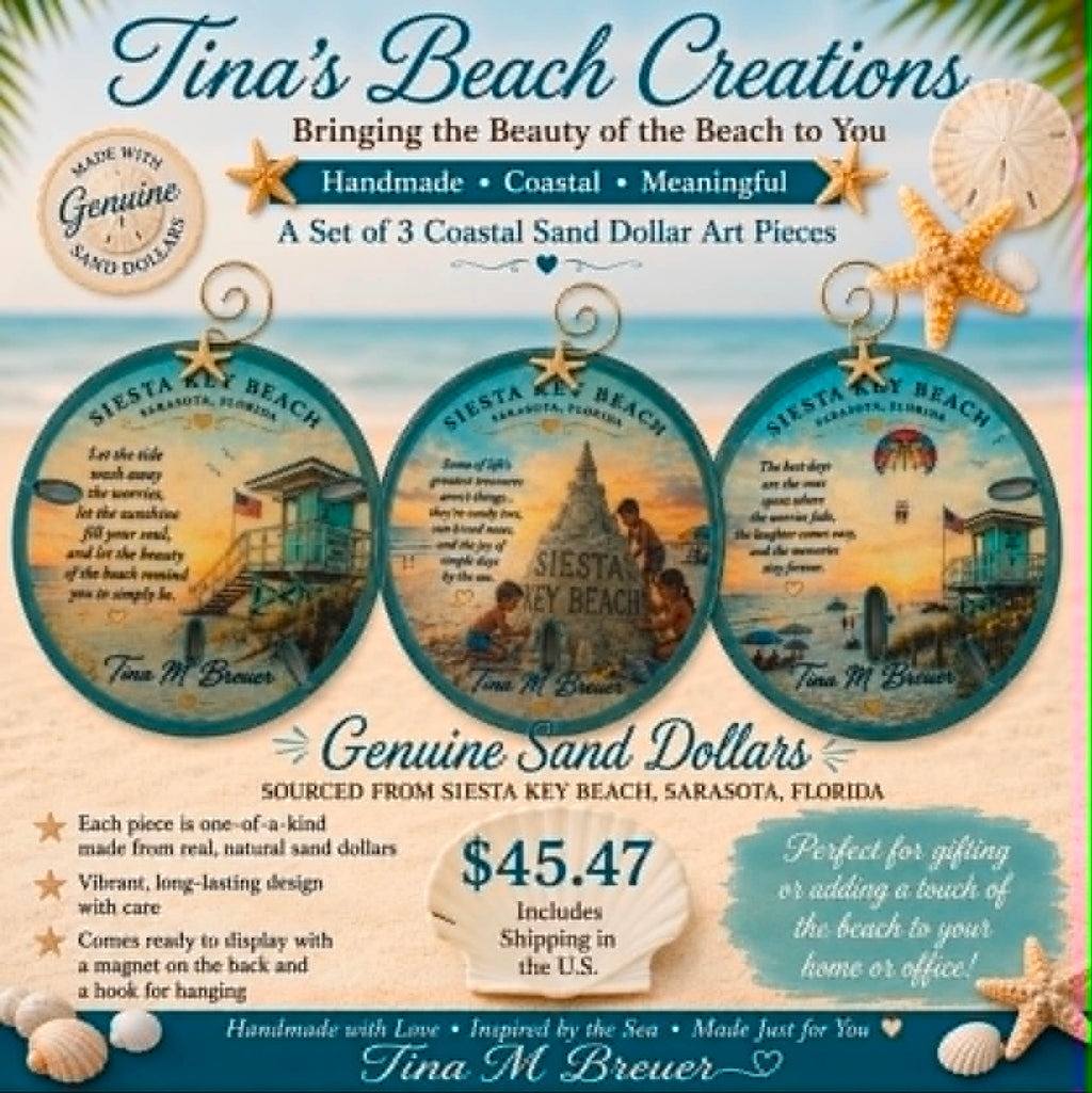 Siesta Key Beach Florida Sand Dollar Ornament Set of Three